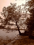 Insel Rügen_ Bodden bei Wreechen_2