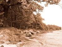 Insel Rügen_ Bodden bei Wreechen_2 (5)