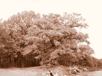 Insel Rügen_ Bodden bei Wreechen_2 (6)