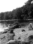 Insel Rügen_ Bodden bei Wreechen_104--APS