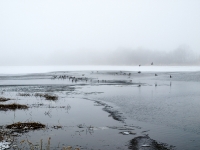 ruegischer_bodden_1301080-8x5