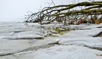 ruegischer_bodden_1301167