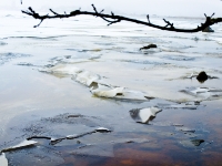 ruegischer_bodden_1301177