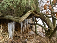 ruegischer_bodden_1301187