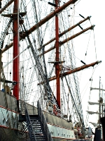 sedov_AA315447