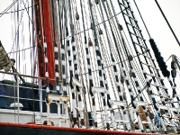 sedov_AA315456