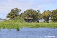 Amazonas